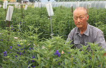 200715_6.jpg