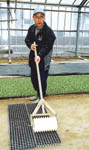 050704ib.jpg