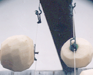kakikul.gif