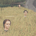 manekon.gif