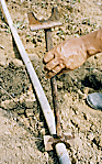 paihazu.gif
