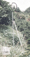 phoosu.gif