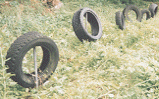 taibura.gif