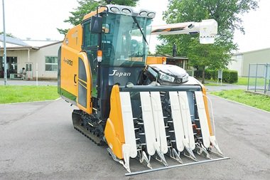 260703_6.jpg
