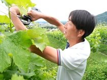 260704_8.jpg