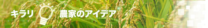キラリ！農家のアイデア