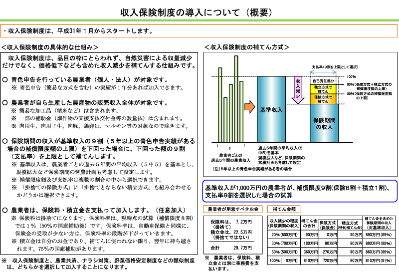 2ページ